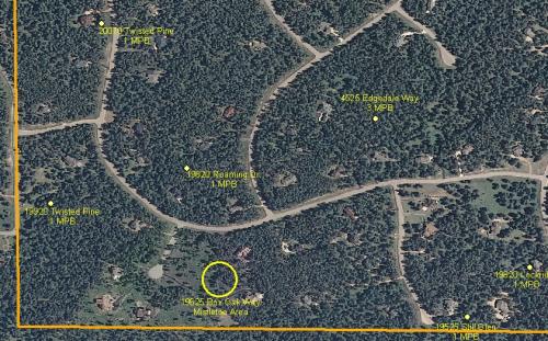 Forestry Wissler Ranch