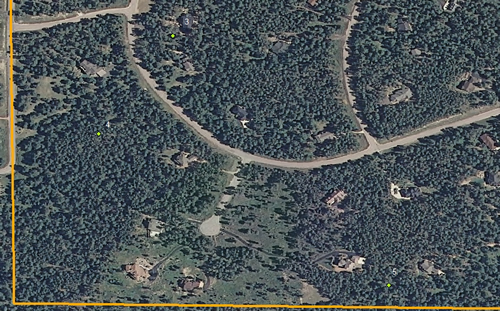 Forestry Wissler Ranch
