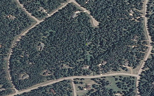 Forestry Wissler Ranch