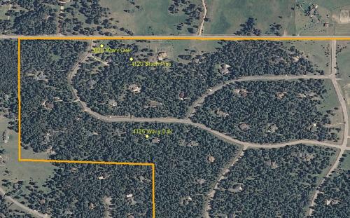 Forestry Wissler Ranch